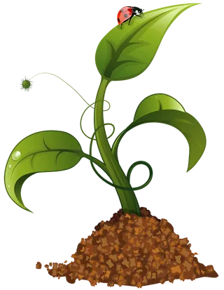 现代农业卡通树苗