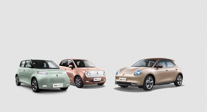 欧拉 好猫 黑猫 白猫 长城汽图片