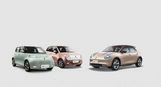 欧拉 好猫 黑猫 白猫 长城汽图片