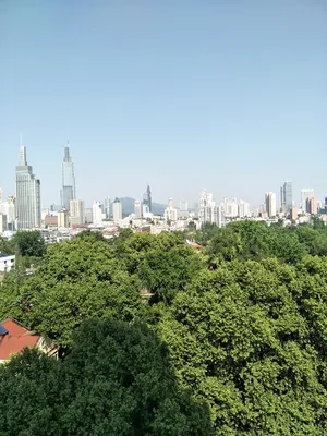 城中春色好