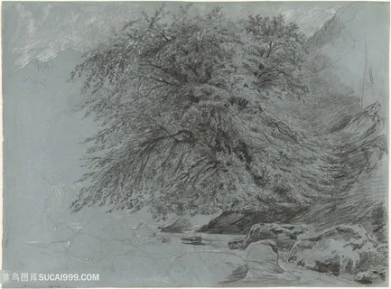 水彩树唯美道路装饰画 水彩树唯美道路装饰画