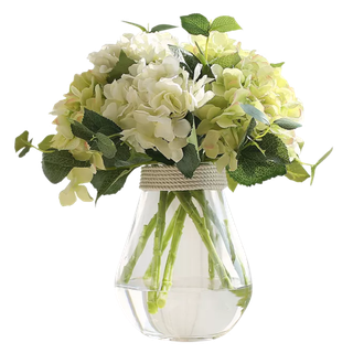 植物盆栽免抠png