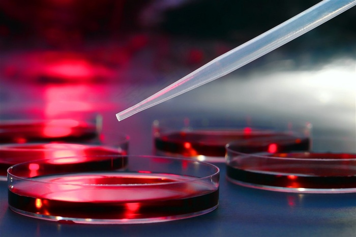 生物科技研究实验高清图片