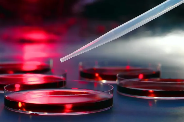 生物科技研究实验高清图片