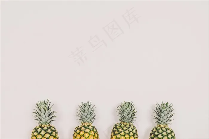 形态不一的菠萝素材图片