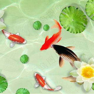 锦鲤荷花荷叶高清背景图