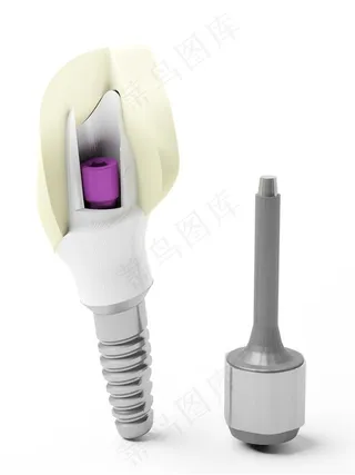 牙齿与修牙工具高清图片