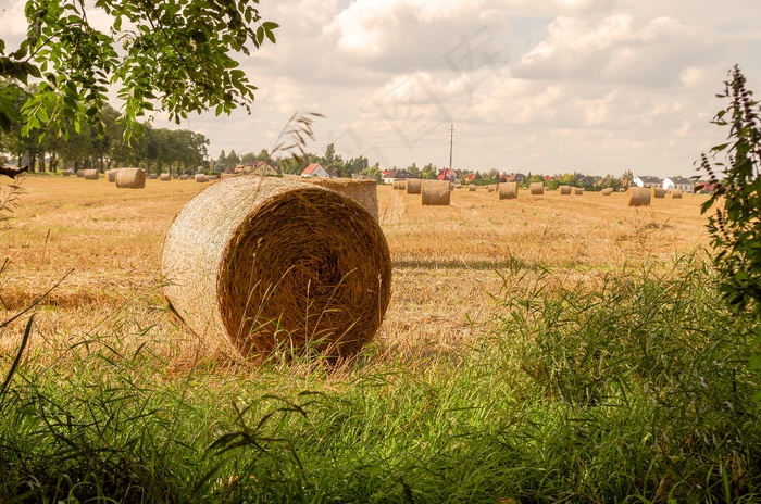 农场干草垛景观图片