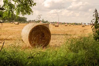 农场干草垛景观图片