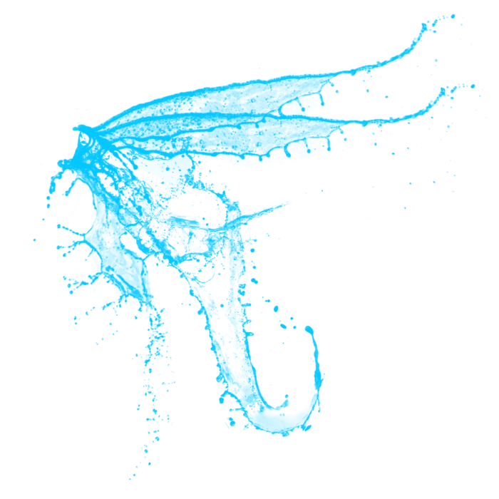 水花 水花翅膀