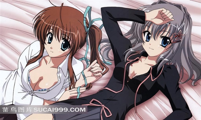 躺着的两个性感女孩插画