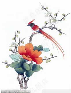 工笔画—梅花 工笔画—梅花