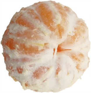 椪柑橘子柑橘耙耙柑免抠摄影元素素材