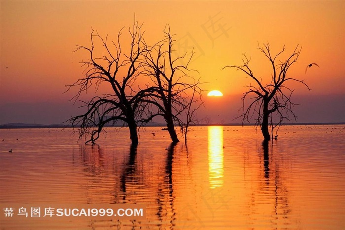 高清日落江水图片素材