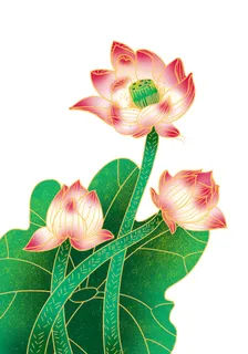 国潮中国风手绘荷花莲花荷叶莲藕植物花卉装饰插画PSD设计素材