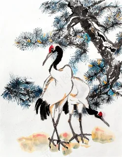 松树下的两只仙鹤 松树下的两只仙鹤