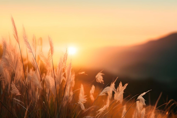 落日夕阳美景山脉摄影