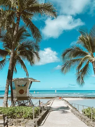 海边沙滩海浪椰子树