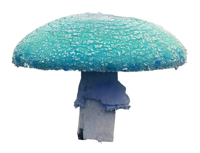 青蘑菇免抠图