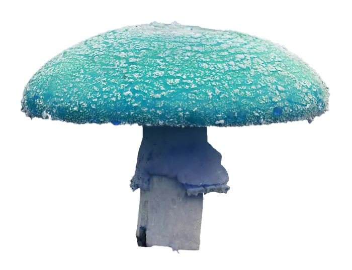 青蘑菇免抠图