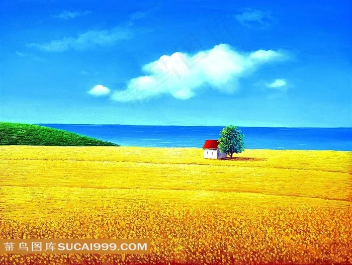 黄色麦田风景画图片