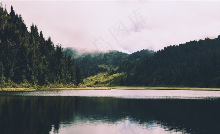 湖边森林美景