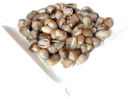 白扒草菇 白扒草菇