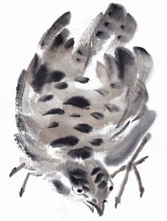 画鸟艺术绘画jpg素材
