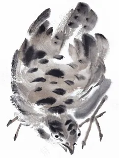 画鸟艺术绘画jpg素材 画鸟艺术绘画jpg素材