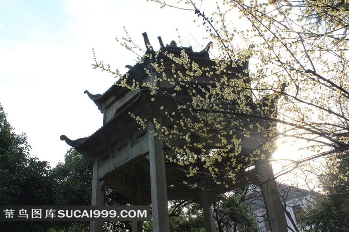 孤山杭州梅花古塔