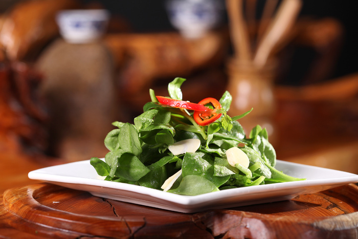 药膳田七苗