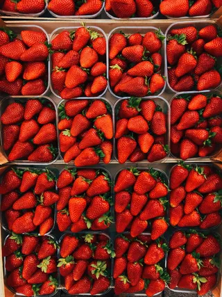 鲜红诱人草莓图片