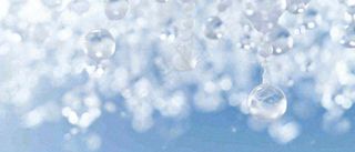 冬天冰枝冰冷枝叶雪球，小雪大雪冬至