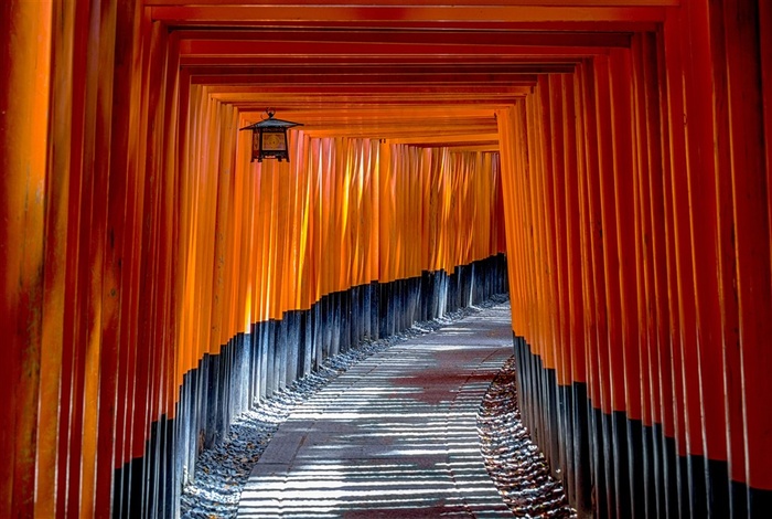 日本神木道图片