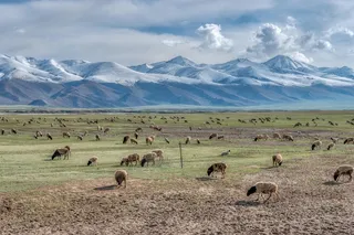 巴音布鲁克草原