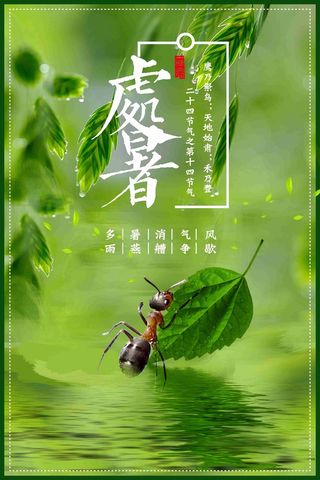 二十四节气传统中国风处暑活动创意海报