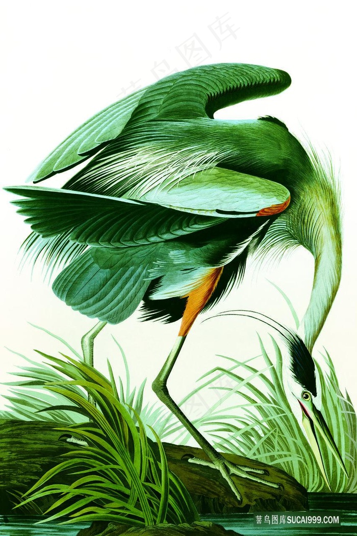 仙鹤唯美风景画装饰画
