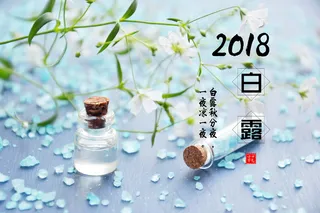 2018白露图片