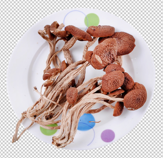 茶树菇免扣素材
