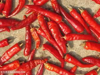 地上的红辣椒小米椒