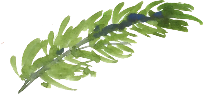 冬季圣诞节花卉果花圈植物免抠海报PNG素材