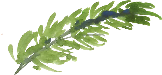 冬季圣诞节花卉果花圈植物免抠海报PNG素材