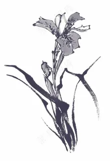水墨国画兰花图片 水墨国画兰花图片