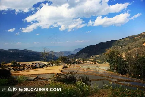 云南元阳梯田唯美风景