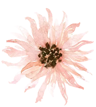 唯美森系手绘水彩花朵 免抠