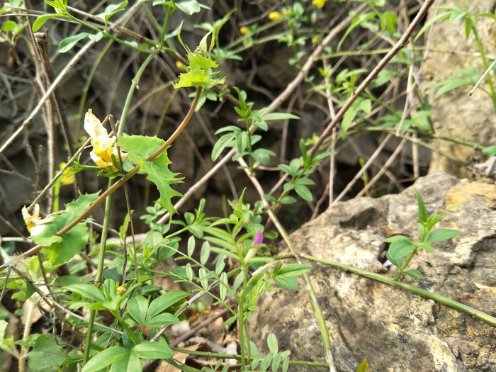 夏日充满活力