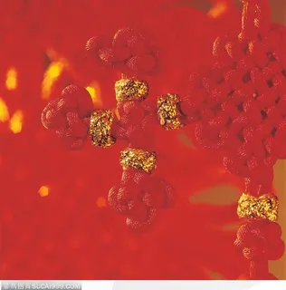 镶金的中国结 镶金的中国结