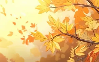 秋季金色枫叶树枝阳光倒影背景