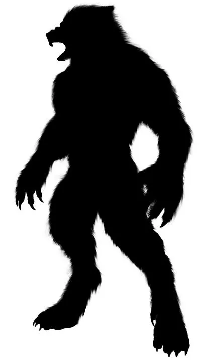 狼人 PNG免抠(408x720)