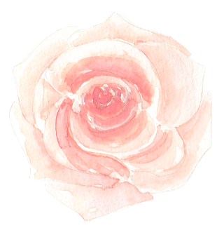 唯美森系手绘水彩花朵 免抠